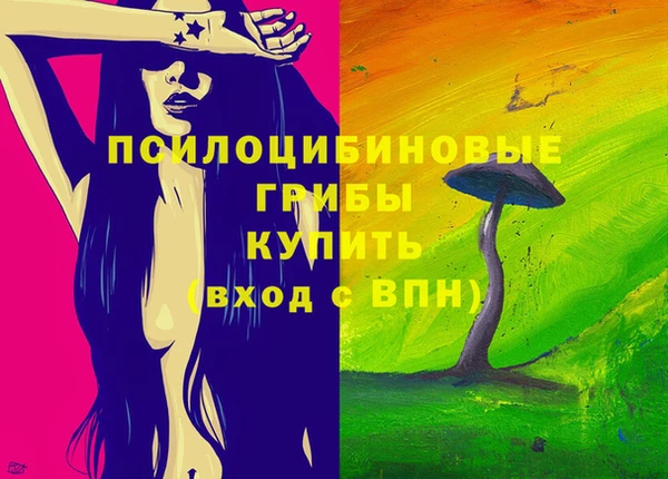 амф Шадринск