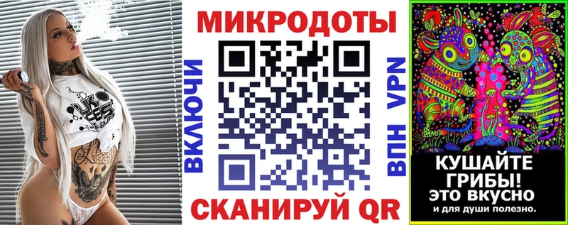 закладка  Нестеровская  Псилоцибиновые грибы Psilocybine cubensis 
