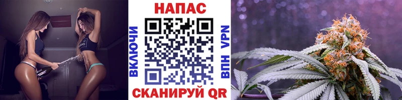 Марихуана White Widow  Нестеровская 
